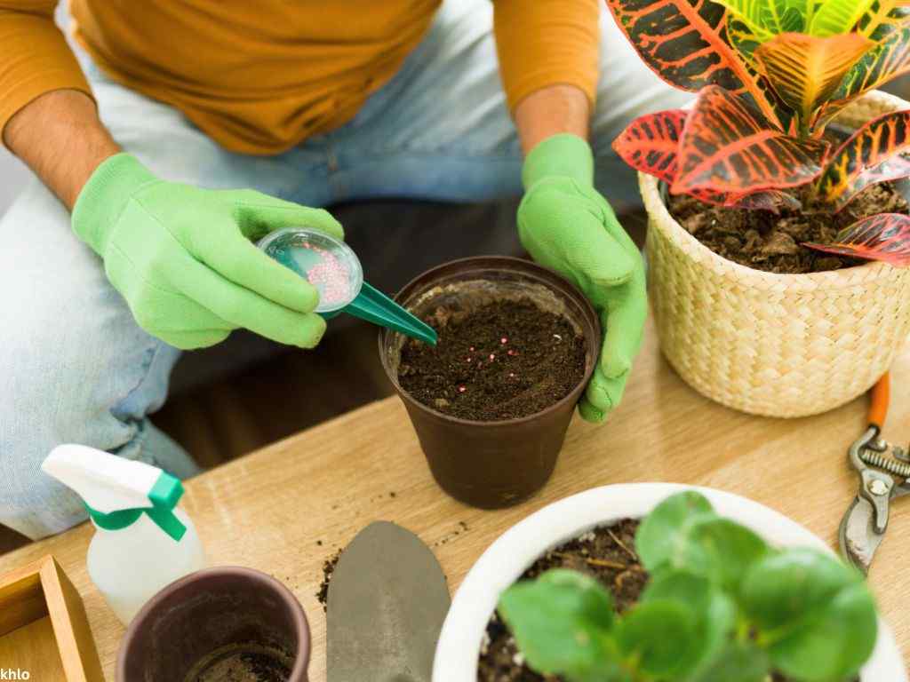 Adult man using fertilizer on his houseplants