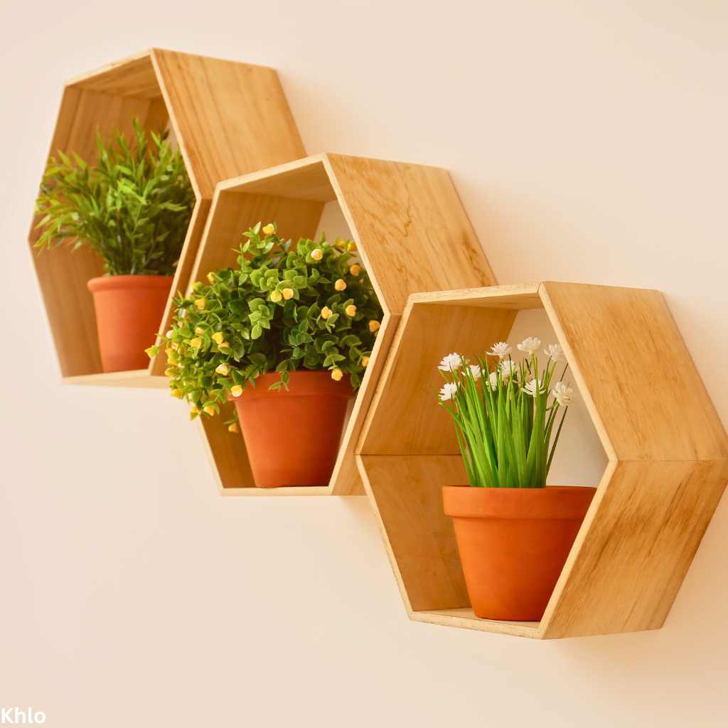 Shelves with Houseplants Hanging on the Wall