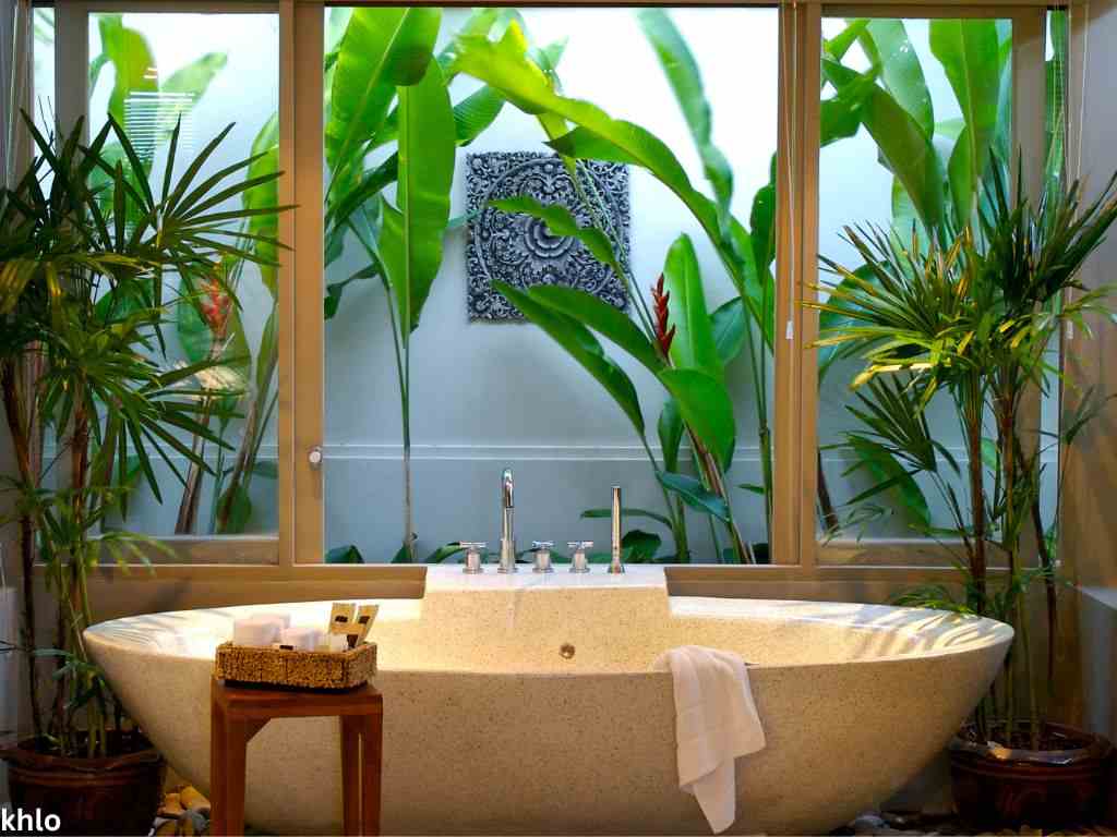 low-light plants for bathrooms display