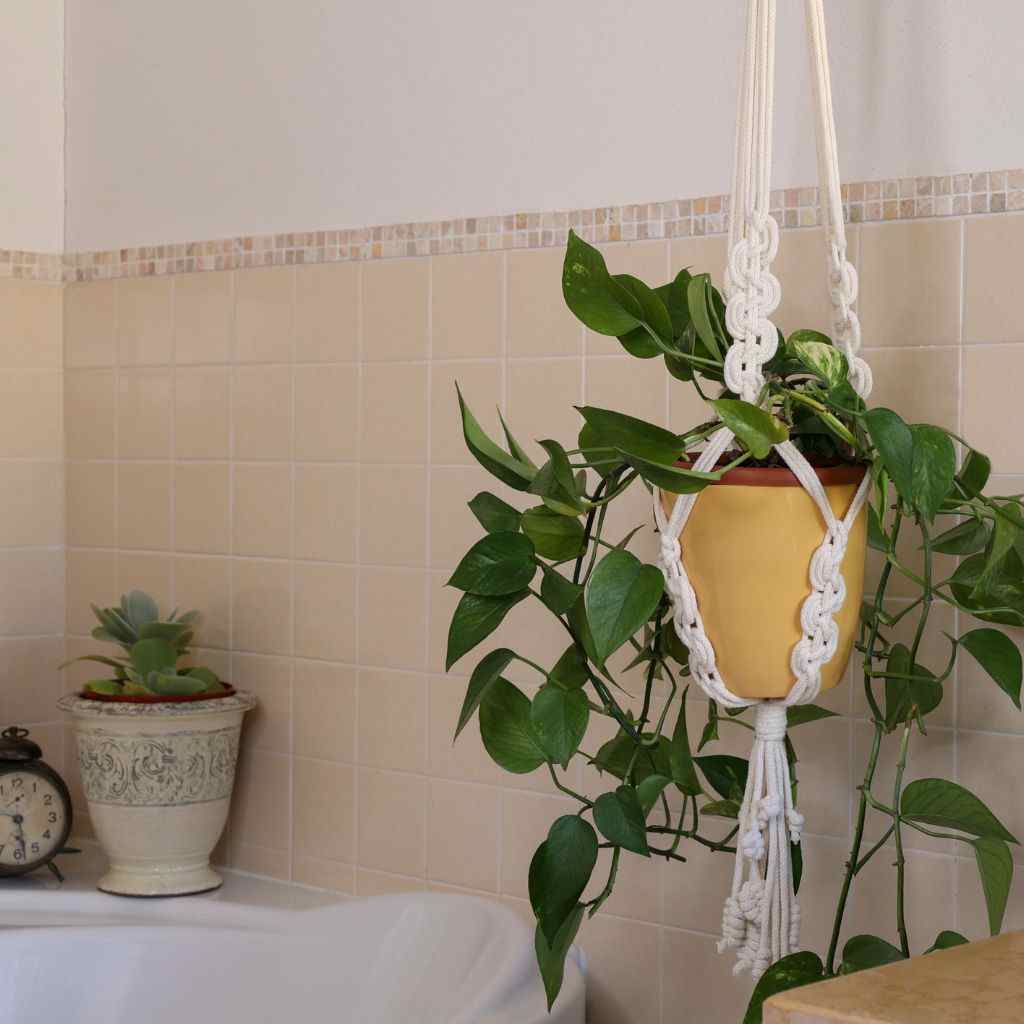 white homemade macrame plant hanger in bathroom