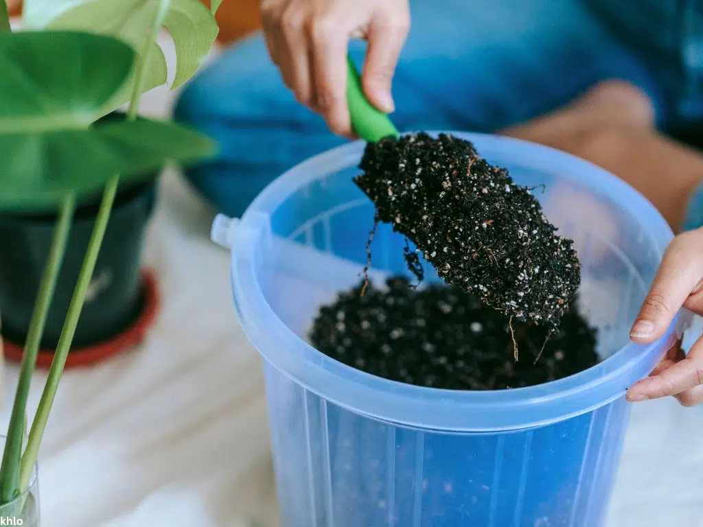 fertilizing a fresh soil for houseplants