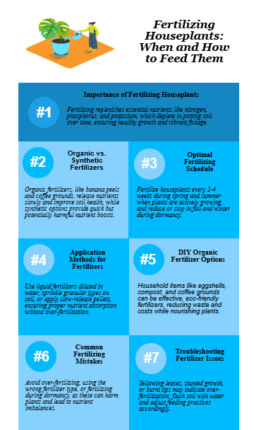 fertilizing houseplants infograph