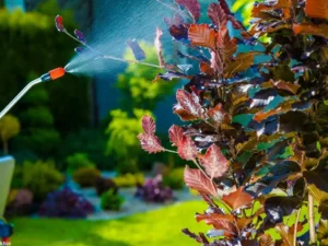 backyard houseplant garden pest control spay