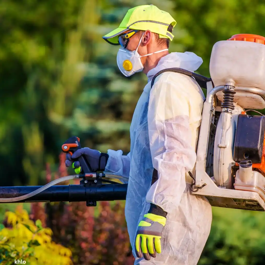 chemical treatment of houseplants to prevent pests